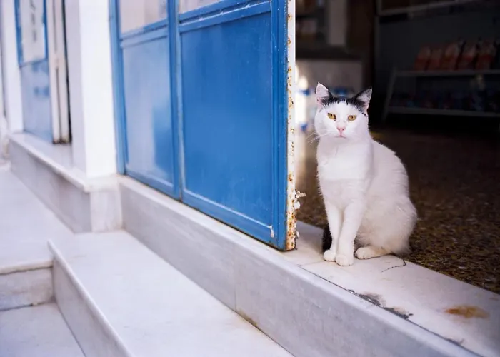 Romantic Santorini Getaway Ammos 1 Bedroom Private Outdoor Pool